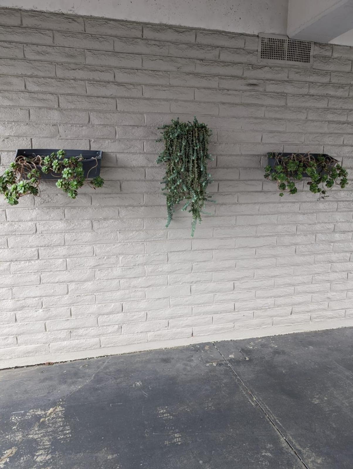 Morwell Parkside Motel Ngoại thất bức ảnh